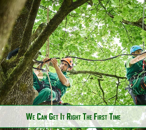 Riverina Tree Services - Leeton, NSW. We Can Get It Right The First Time