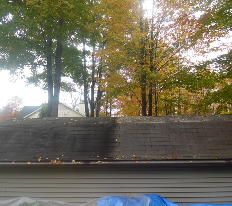 Roof Cleaning and More - Port Huron, MI