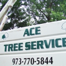 Ace Tree Service - Arborists