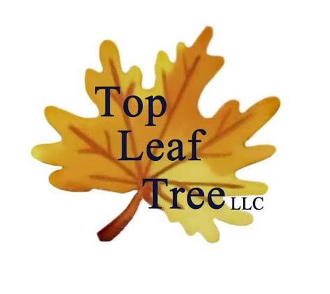 Top Leaf Tree - Raymond, ME