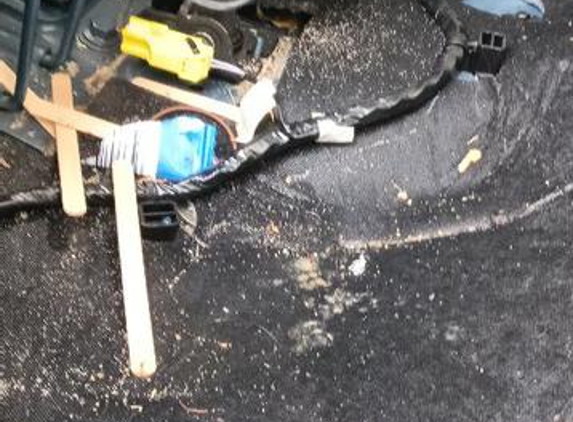 Fully Detailed - Kangaroo Point, QLD. Seat removal to discover!!!