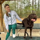 Camp Green Dog & Doggie Daycare