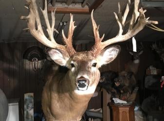 Big Game Taxidermy - Eudora, KS - Eudora, KS