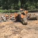 K & S Lawn and Tree