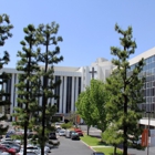 Emergency Dept, Saint Bernardine Medical Center