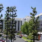 St Bernardine's Medical Center