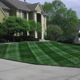 Precision Lawn Care