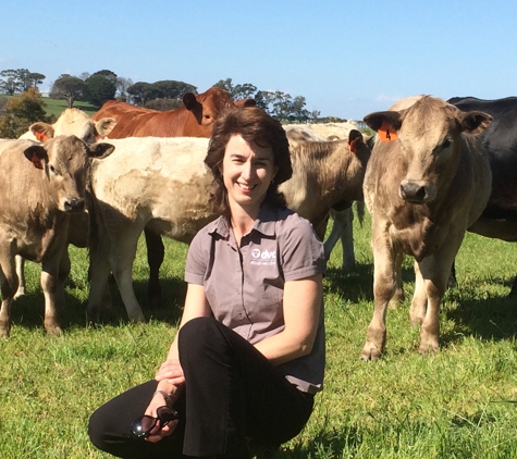 Drouin Veterinary Clinic - Drouin, VIC