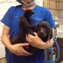 Veterinary Medical Center of Turlock - Pet Services