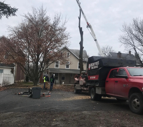 McIntyre's Tree Service - Stroudsburg, PA