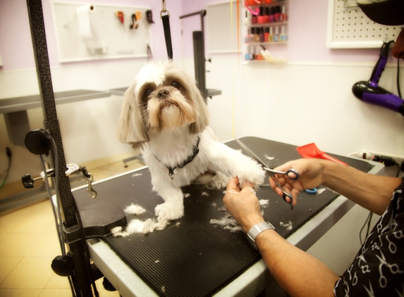 Pet Bath & Beyond - San Antonio, TX