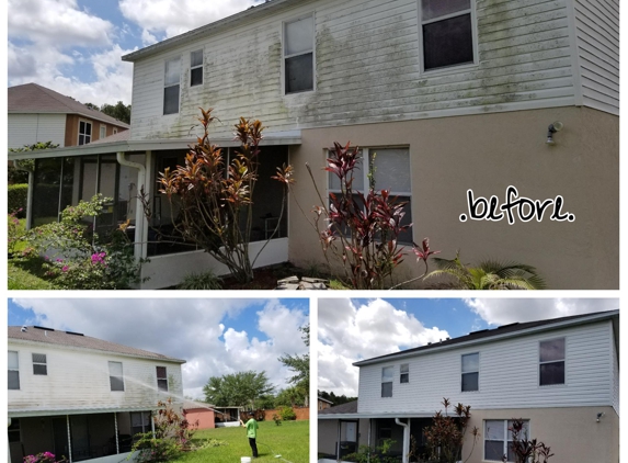 Perfect Pear Co Exterior Cleaning - Longwood, FL