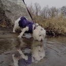 Mill River Park - Parks