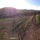 Sbragia Family Vineyards