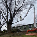 American Tree & Service - Tree Service