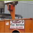 Millers Tree & Bucket Truck Service - Stump Removal & Grinding