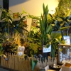 West Coast Organic and Hydroponic Supply gallery