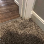 Compass Carpet Repair & Cleaning