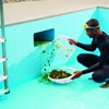 Ocean Pool Cleaning Services gallery