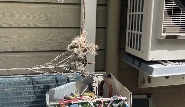 Quality Electrical Projects - Narangba, QLD