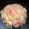 Paradise Florist gallery