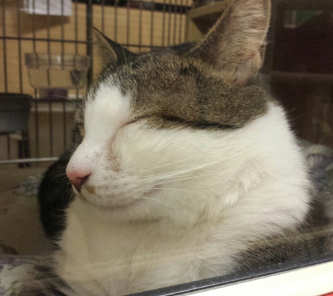 PetSmart - Delran, NJ