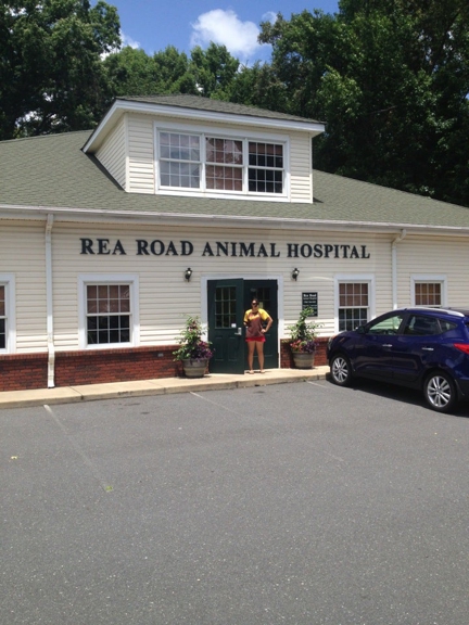 Rea Rd Animal Hospital - Charlotte, NC