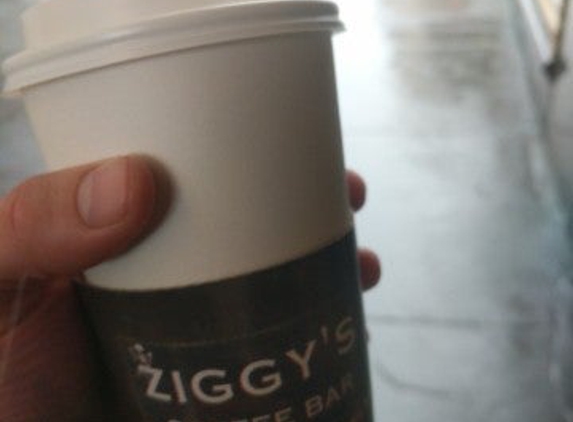 Ziggys Coffee Bar - Boston, MA