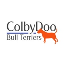 ColbyDoo Bull Terriers - Pet Breeders