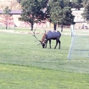 Lake Estes Golf Course - Private Golf Courses