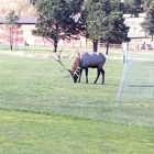 Lake Estes Golf Course