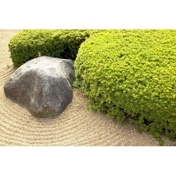 Gallery Image Number 5