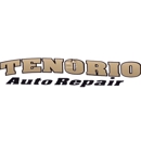 Tenorio Auto Repair - Auto Repair & Service
