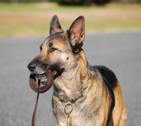 Two Wheels Four Paws - Rappahannock Academy, VA