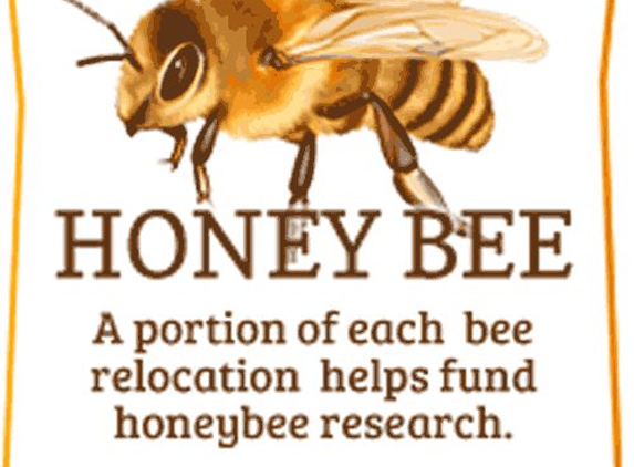 Oakley Honey Bee Removal - Round Rock, TX