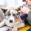 Riverbend Veterinary PetCare Hospital - Veterinarians