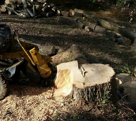 AMER TREE XPERTS  & LNDSCPNG - Evansville, IN. Grinding a stump on Northside Evansville, IN