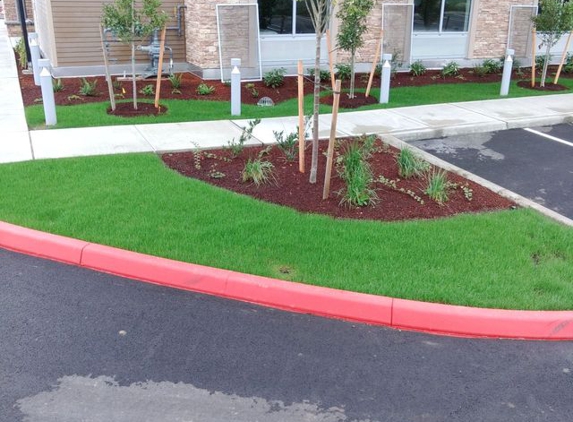 Hydroseeding & Bark Blowers