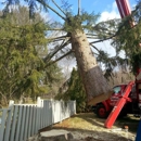 Guardian Tree Company - Arborists