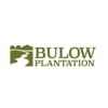 Bulow Plantation gallery