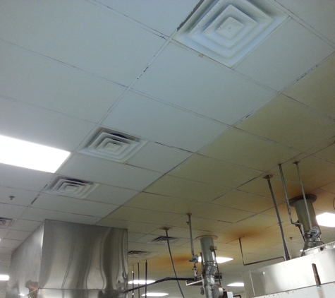 Robinsons Ceiling Cleaning - Las Vegas, NV