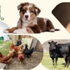 Clifton Feed and Service Center, Inc. gallery
