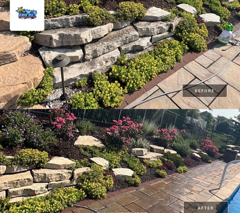 Scrub Bee's Pressure Washing - La Grange, IL. Cleaning, decorative stone, in Mokena, Illinois