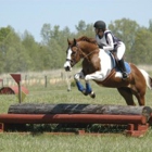 Hampton Cove Equestrian Center