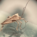 Best Pest Control Inc - Pest Control Equipment & Supplies