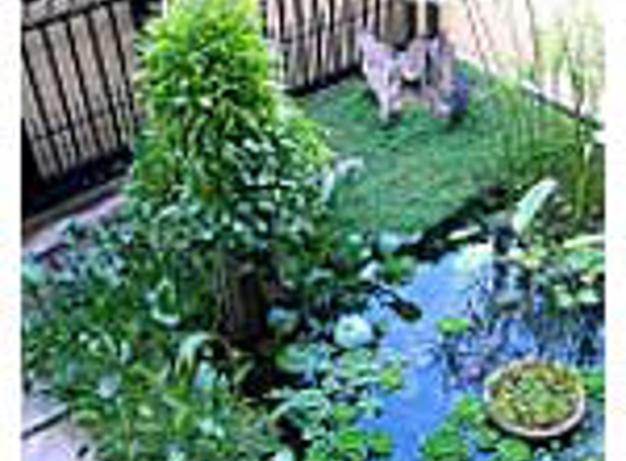 Pots & Ponds - Bungalow, QLD
