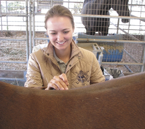 Balanced Horse Veterinary Service, PLLC - Redmond, WA