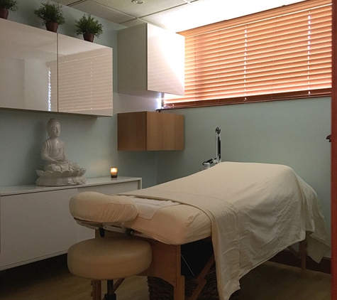 DeJongh Acupuncture Clinic - Miami, FL