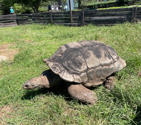 Leesburg Animal Park - Leesburg, VA