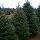 Evergreem Valley Christmas Tree Farm - Christmas Trees